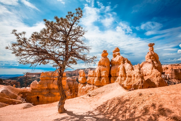 Trekking Queens Garden Trail en el Parque Nacional Bryce, Utah. Estados Unidos