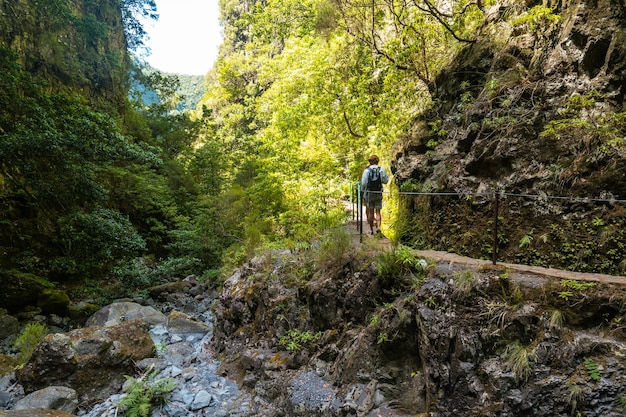 Trekkingpfad neben dem Wasserfall in der Levada do Caldeirao Verde Queimadas Madeira