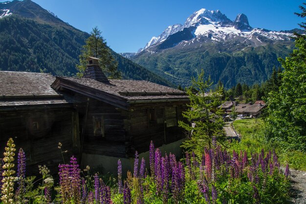 Trelechampchamonixhaute savoiefrance