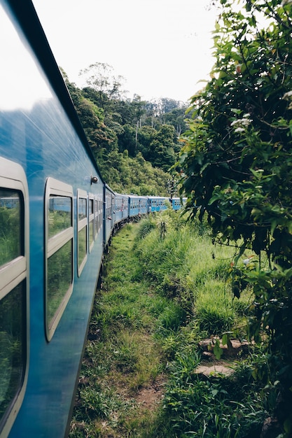 Trem azul atravessando uma plantação de chá no Sri Lanka