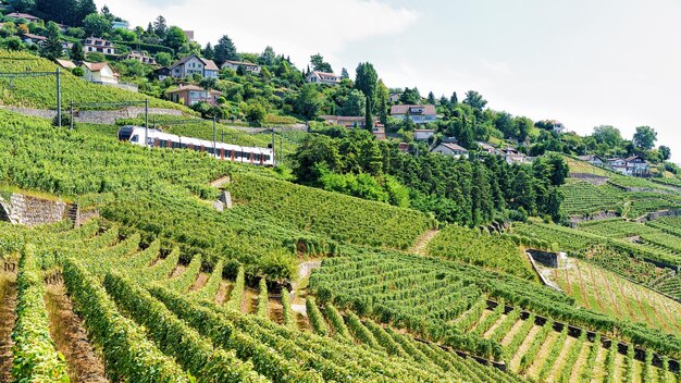 Trem de corrida perto da trilha de caminhada Lavaux Vineyard Terraces, distrito de Lavaux-Oron, perto da Suíça