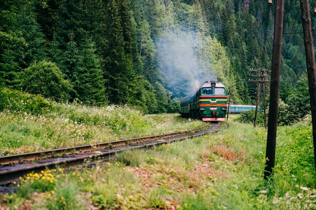 Trem de trem entre a natureza do verão