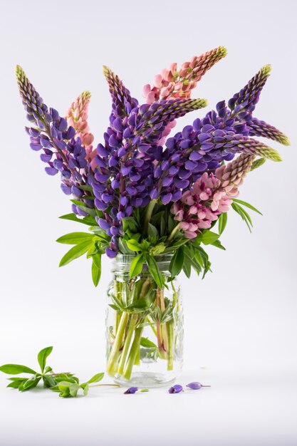 Tremoços cor de rosa e violetas em vaso de vidro isolado na superfície branca