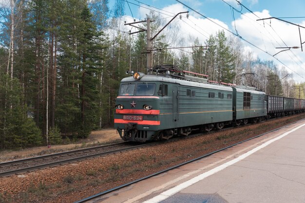 Tren de carga remolcado por una locomotora eléctrica en el fondo del bosque