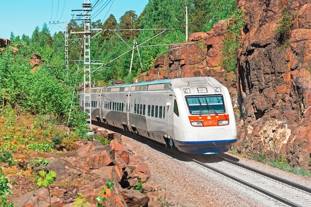 Tren eléctrico de alta velocidad. El ferrocarril pasa en un cañón rocoso en el bosque.