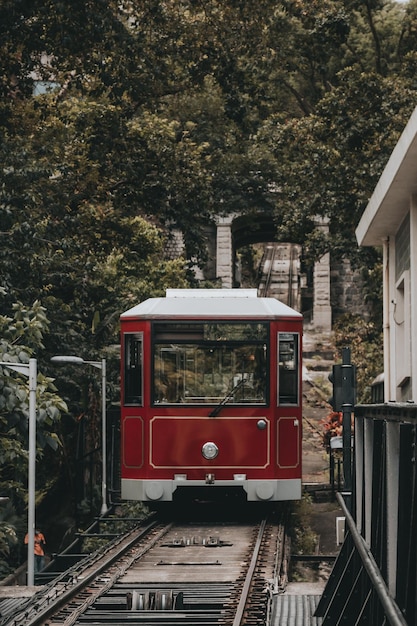 Foto tren en la estación de tren