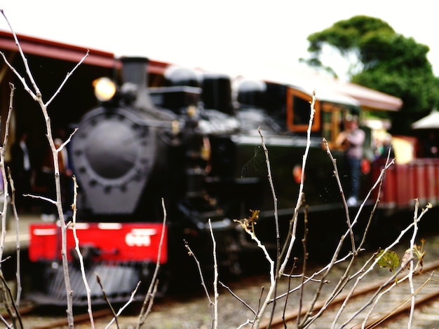 Foto el tren está fuera de foco.