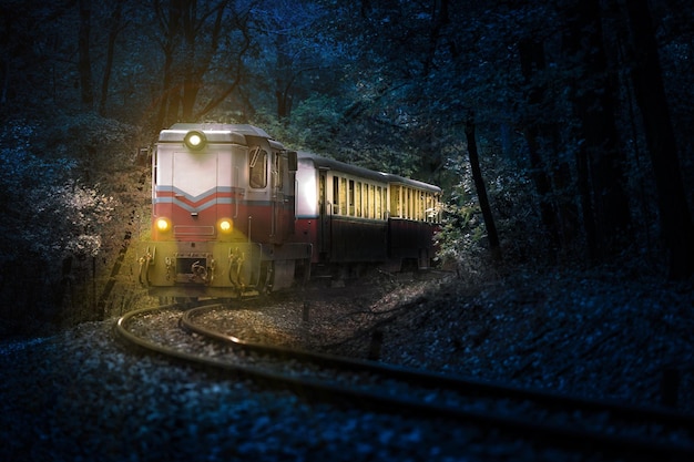 Tren iluminado en una vía ferroviaria en medio de árboles al anochecer