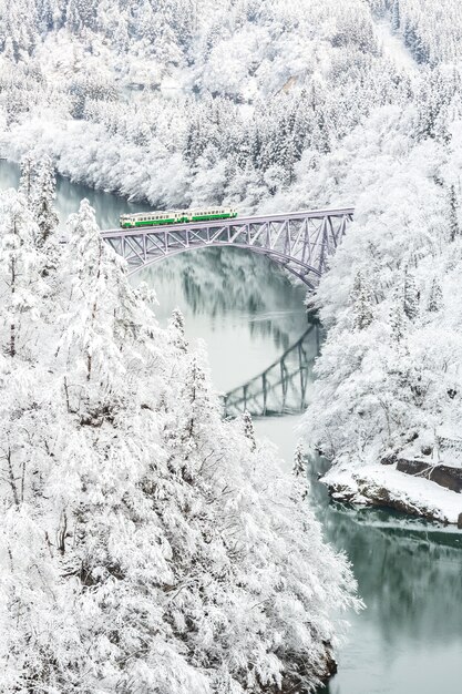 Tren de invierno paisaje