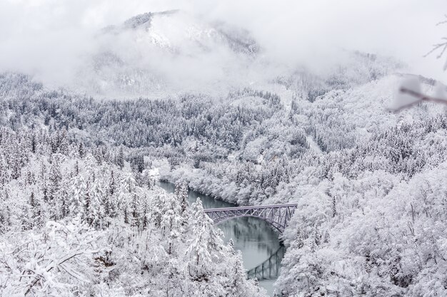 Tren de invierno paisaje