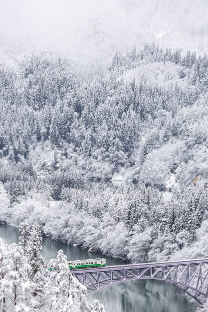 Tren de invierno paisaje