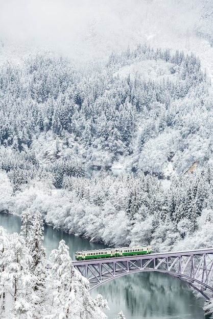 Tren de invierno paisaje