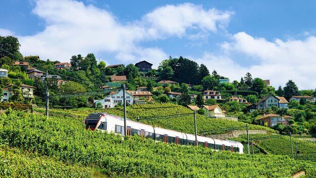 Tren en marcha en el ferrocarril cerca de la ruta de senderismo Lavaux Vineyard Terrace, distrito de Lavaux-Oron, Suiza