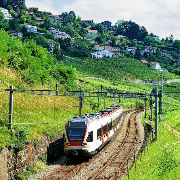 Tren en marcha en el ferrocarril en Lavaux Vineyard Terraces sendero, distrito de Lavaux-Oron, Suiza