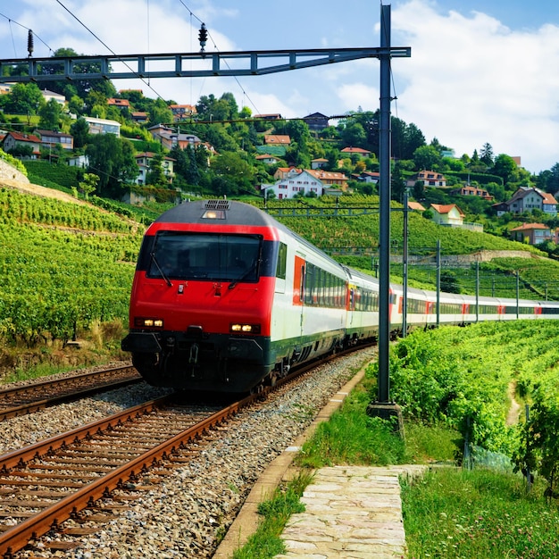 Tren en marcha y el ferrocarril en el sendero de terrazas de viñedos de Lavaux, distrito de Lavaux-Oron, Suiza