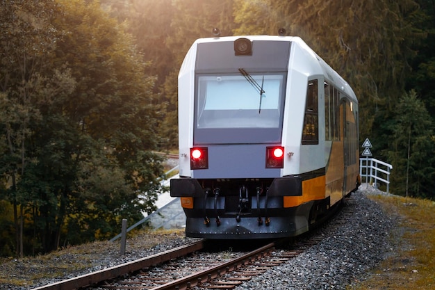 El tren pasa por el bosque viaje en tren