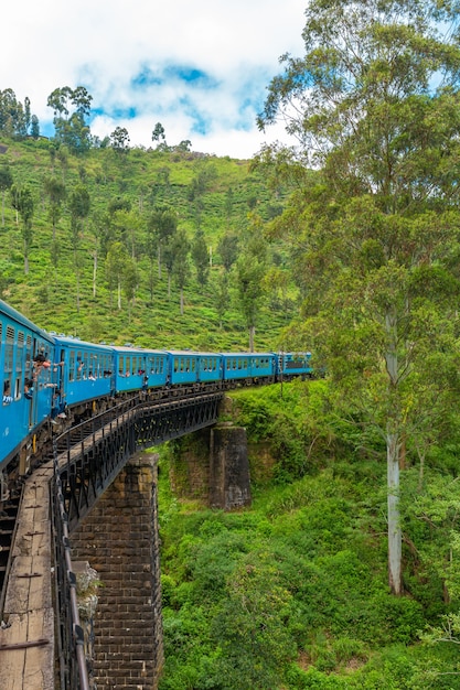 Un tren de pasajeros azul se mueve a través de la jungla de Sri Lanka