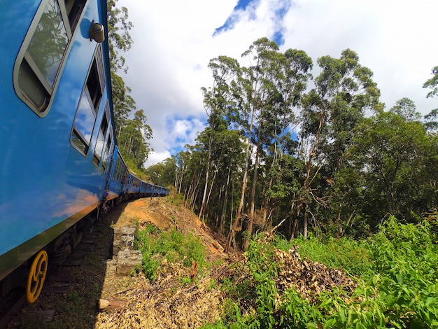 Tren de pasajeros con turistas viaja a través de la jungla verde de Sri Lanka