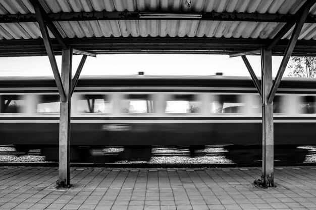 El tren en la plataforma de la estación de tren