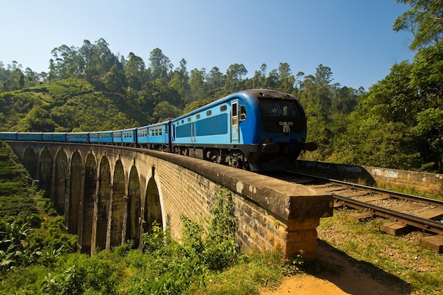 Tren que circula por el puente de nueve arcos, Demodara, Sri Lanka