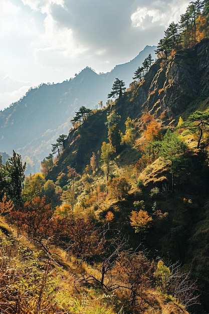 un tren que viaja a través de una exuberante ladera verde