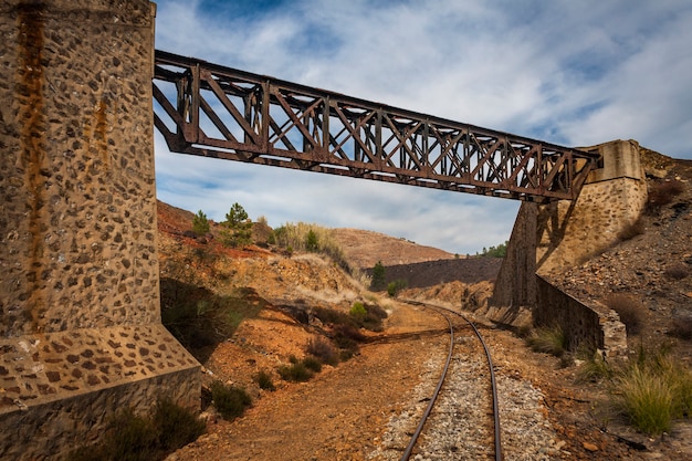 Foto tren rastrea arbustos y un puente de metal