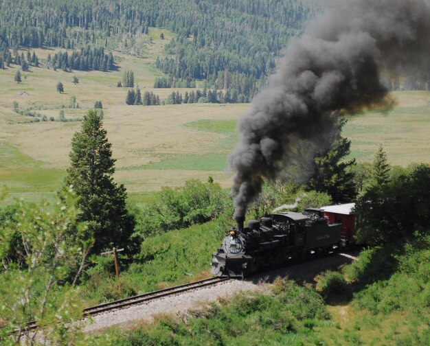 Tren de vapor cruzando el valle verde