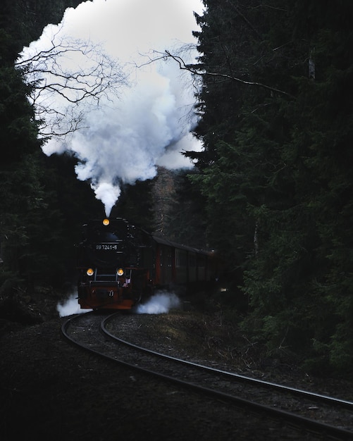 Tren en las vías del ferrocarril en medio de los árboles.