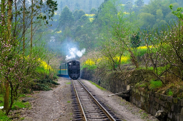 El tren en las vías del ferrocarril en primavera