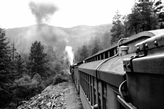 Foto el tren en las vías del ferrocarril