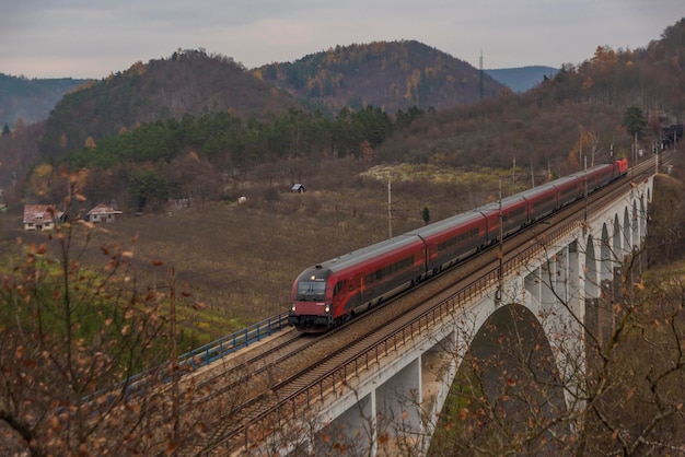 Foto el tren en las vías del ferrocarril