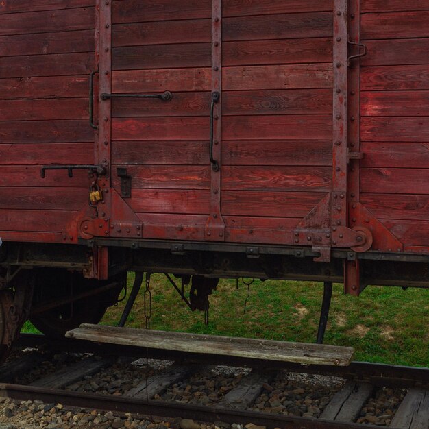 Foto el tren en las vías del ferrocarril