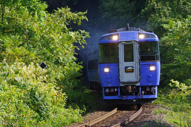 El tren en las vías del ferrocarril