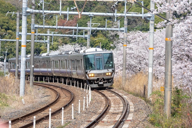 Tren en vías ferroviarias