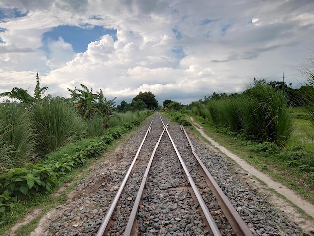 Un tren en una zona de hierba