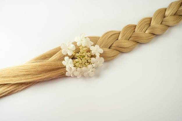 Una trenza rubia con una flor blanca sobre ella sobre un fondo blanco