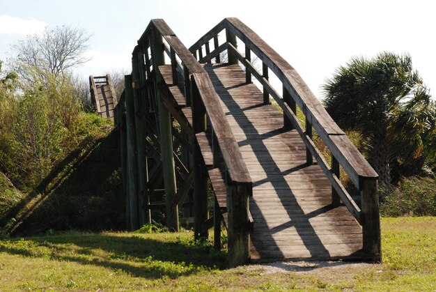 Foto treppe durch bäume auf dem feld gegen den himmel