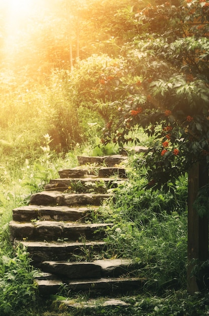 Treppe im Park