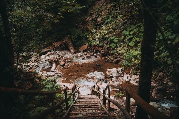 Treppe zum Wasserfall