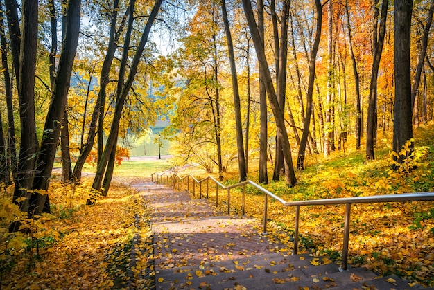 Treppen unten im Herbstpark Tsaritsyno in Moskau