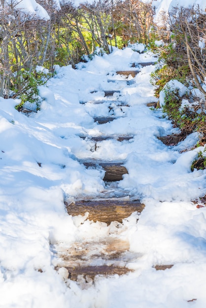 Foto treppenweg mit schnee