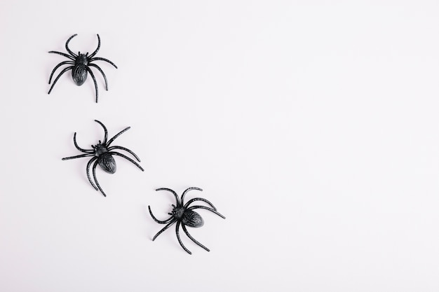 Tres arañas mentir sobre fondo blanco