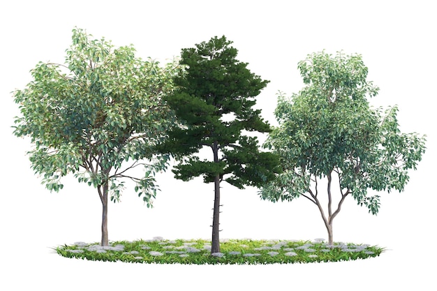 Tres árboles con hojas verdes flores blancas y hierba