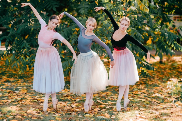 Três bailarinas elegantes posando no parque ensolarado.