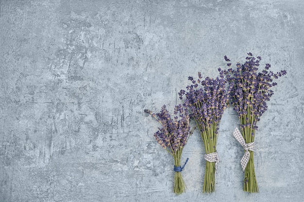 Três buquê de flores de lavanda em fundo cinza