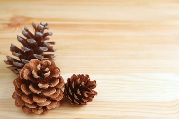 Tres conos de pino secos naturales aislados en mesa de madera de color marrón claro