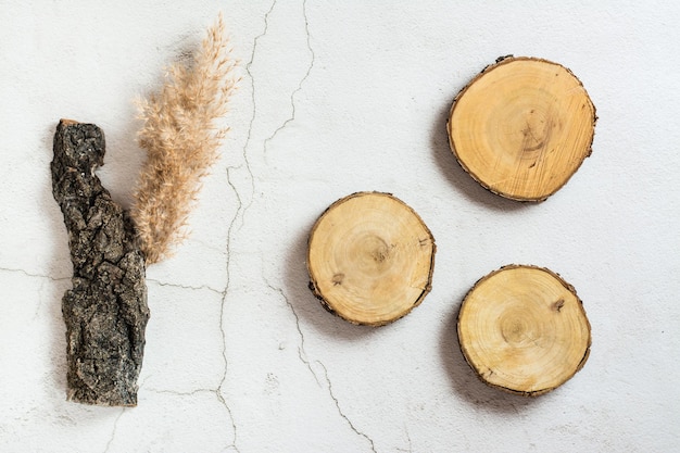 Três cortes de uma casca de árvore e grama seca em um fundo cinza Vista superior Modelo ecológico