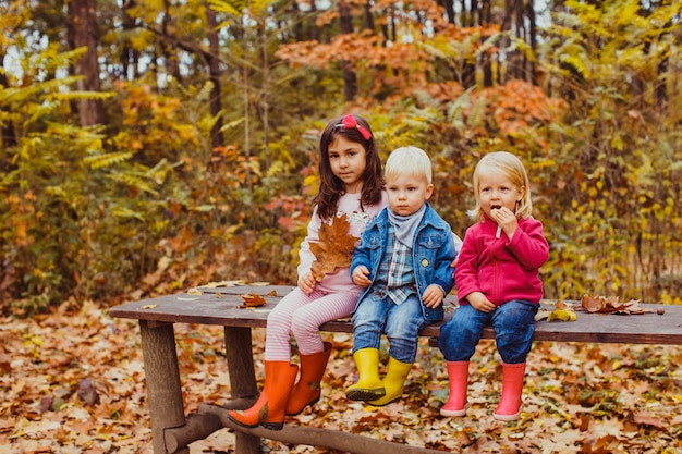 Três crianças sentadas no banco e brincando com folhas outonais. Dia ensolarado e quente, reunião de amigos