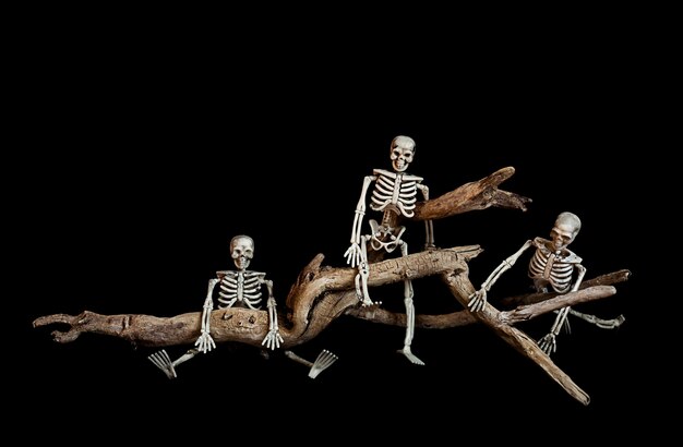 tres esqueletos en una rama de árbol aislados en un fondo negro concepto de Halloween