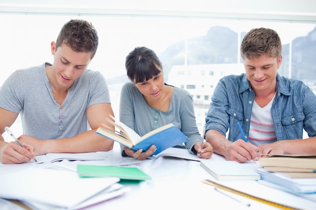 Três estudantes estudam muito juntos